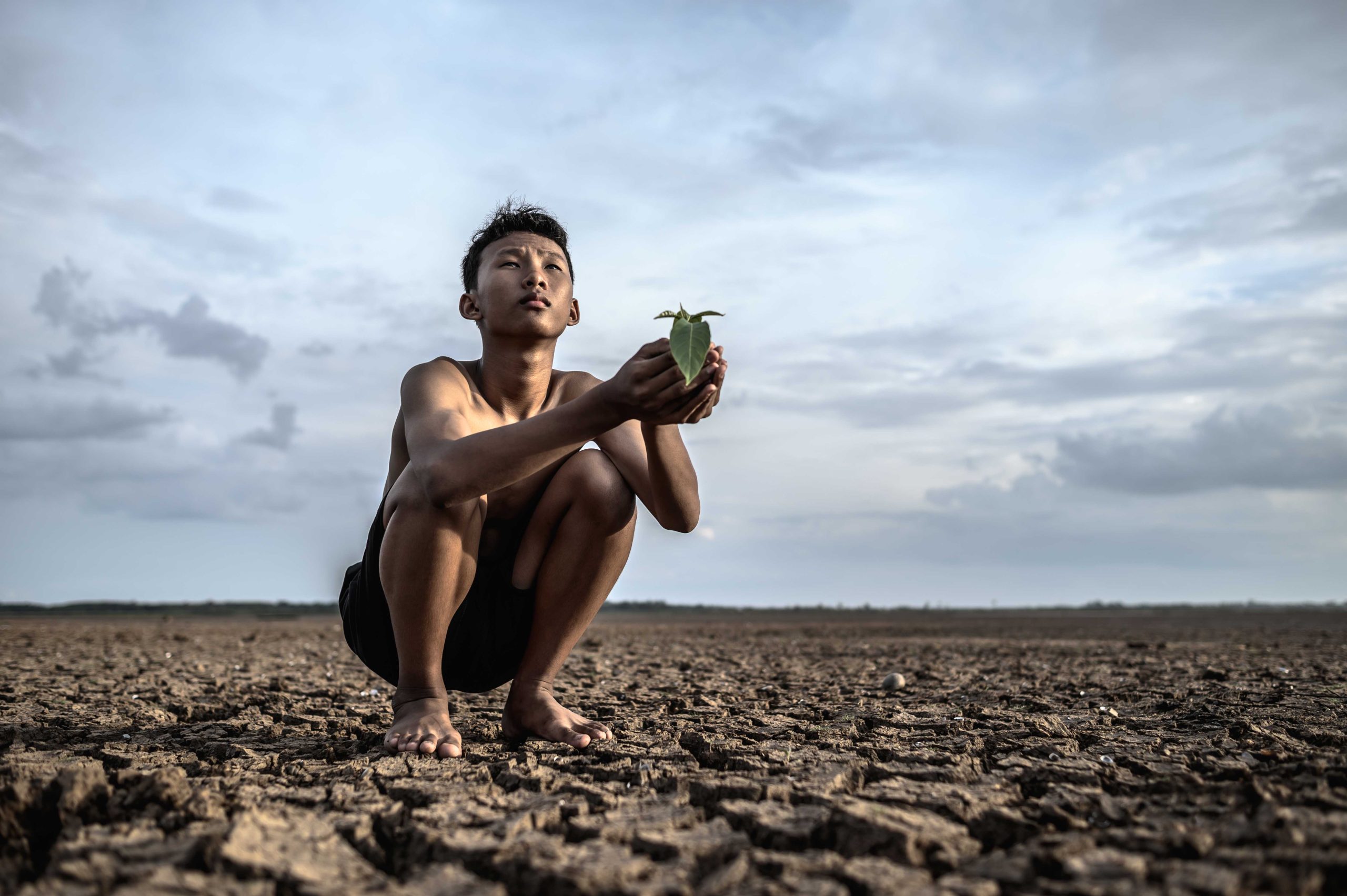 Men sit in their hands, holding seedlings on dry ground and look