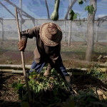 Estados Unidos apunta ahora al suministro de alimentos de Cuba