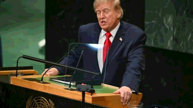 3a